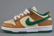 Kids Dunk SB C21 Brown Green